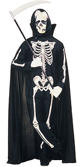 Adult Skeleton