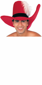 Oversized Red Musketeer Hat