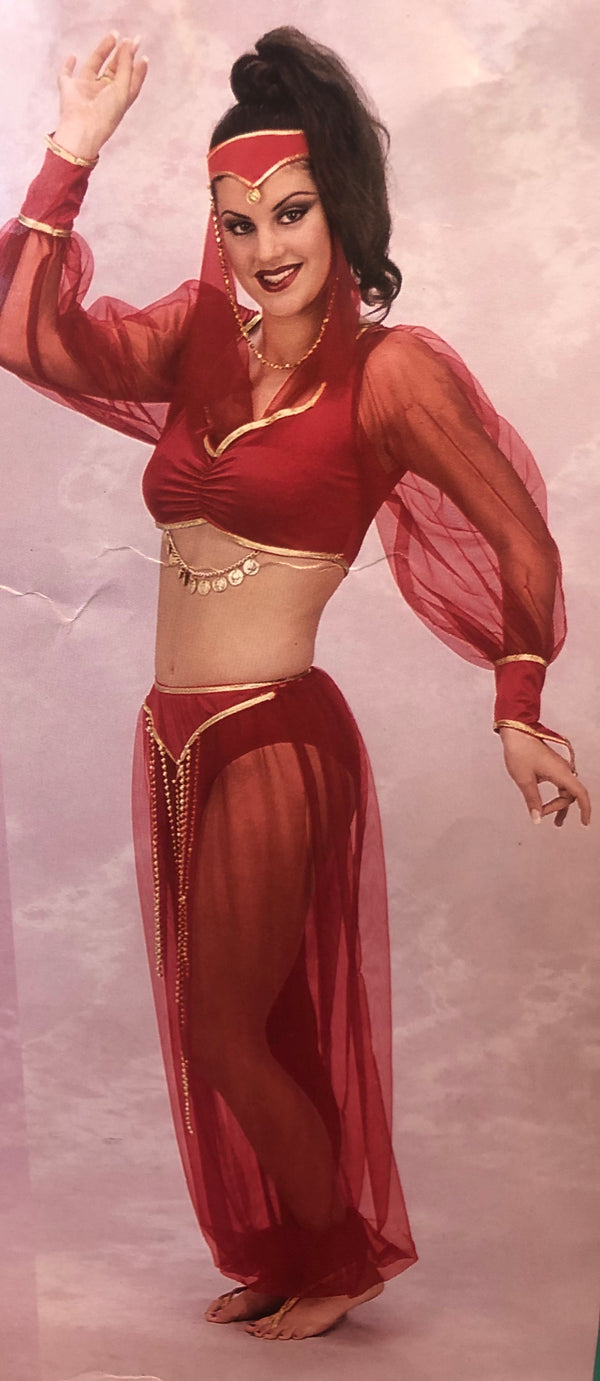 Harem Dancer Costume